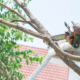 Side view of a person using chainsaw to trim branch